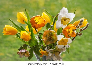 Bouquet of cut colorful flowers. Yellow Tulips, white Daffodil, Helleborus or Lenten Rose and Willow catkins, close up. Floristic arrangement for birthday gift, wedding bouquet or greeting card design - Powered by Shutterstock