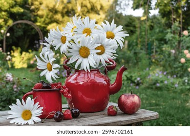 Ramo de margaritas en una tetera roja retro con bayas y manzanas en el jardín en la mesa. Bodegón de verano en un jardín en flor
