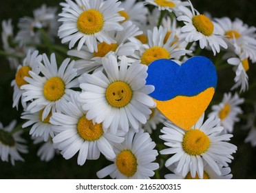 Bouquet Of Daisies And Yellow-blue Heart. Patriotic Gift, Gratitude From Ukraine. Faith And Hope For Revival Of Country After Hostilities. Concept Of Positivity And Peace. Stop War In Ukraine