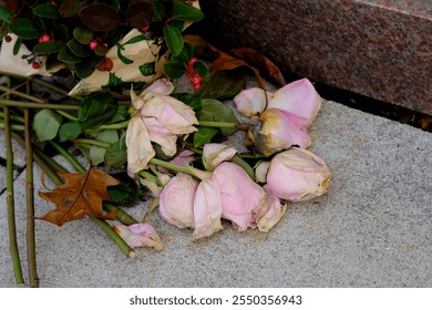 Bouquet of dead pink roses, lying on concrete sidewalk. Symbolic, death or sadness - Powered by Shutterstock