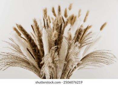 Bouquet of decorative dried pampas grass on a light background, close-up. - Powered by Shutterstock