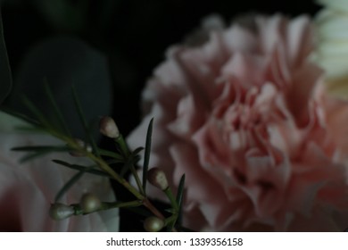 bouquet of different flowers - Shutterstock ID 1339356158
