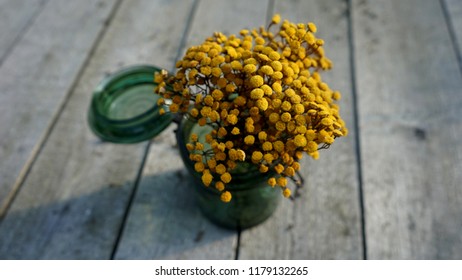 Bouquet of dired  yellow tansy flowers in green glass jar on wooden background
