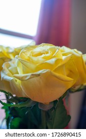 Bouquet Of A Dozen Yellow Roses 