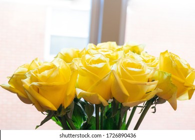 Bouquet Of A Dozen Yellow Roses 