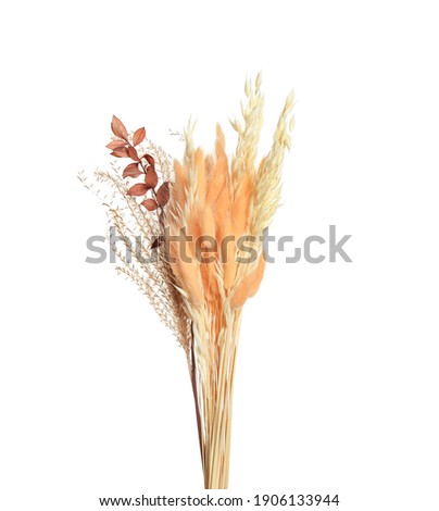 Bouquet of dried flowers on white background