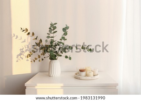 Bouquet of eucalyptus branches in vase and tray with candles standing on the chest of drawers in the morning sun beams. Minimalistic home decor. White stylish interior.