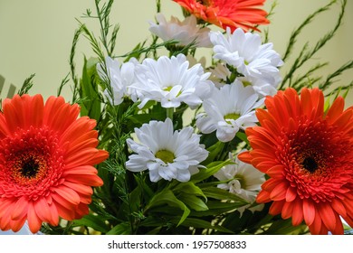 Bouquet Flower Rose Isolated Gerbera Bunch Leaf. Blossom Green.