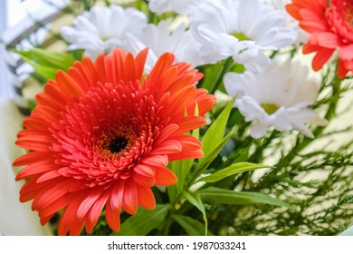 Bouquet Flower Rose Isolated Gerbera Bunch Leaf. Wedding.