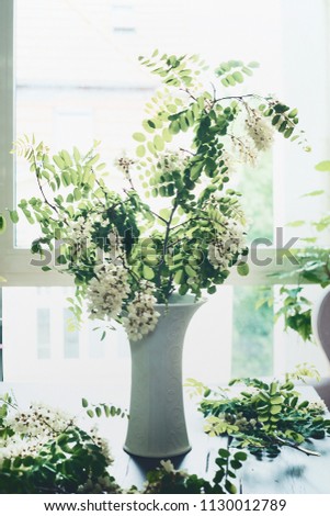 Similar – Acacia bouquet on the table in living room