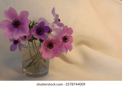 Bouquet of flowers. Beautiful composition, monochromatic background.