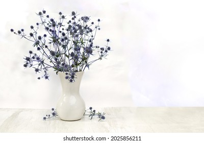  Bouquet flowers blue eryngo ( Eryngium planum, flat sea holly ) in porcelain white vase on a white table with space for text. Flowerheads surrounded by spiky bracts