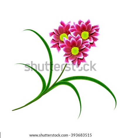 Similar – Image, Stock Photo Daisies in a small white vase on a stone border