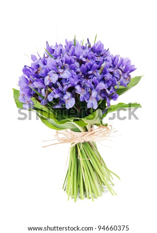 bouquet of flowers iris