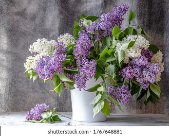 Lilac Bushes Images Stock Photos Vectors Shutterstock