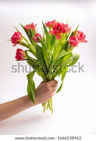 Similar – Image, Stock Photo Hand holding white peony,  minimalist grey background