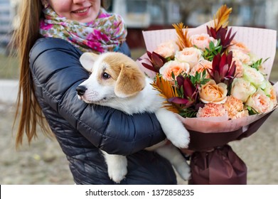 Bouquet of flowers and puppy dog. Girl's back and holding a small dog. The puppy in his arms. 