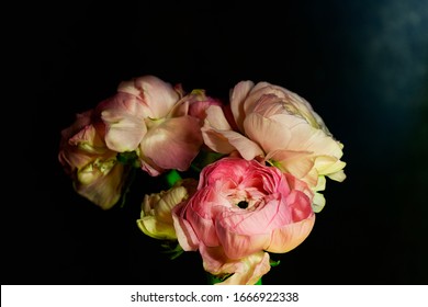 Bouquet Of Flowers Ranunculus In Pastel  Moody