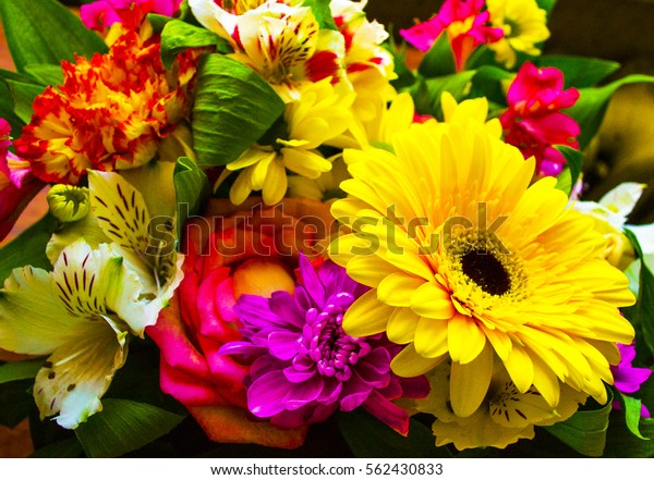 Blumenstrauss Rosen Gerbera Blumen Nelken Stockfoto Jetzt Bearbeiten 562430833