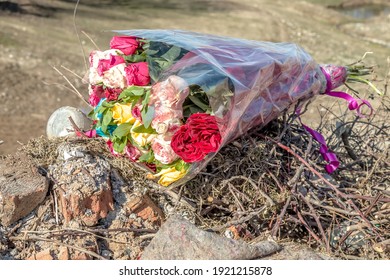 107 Rose in dustbin Images, Stock Photos & Vectors | Shutterstock