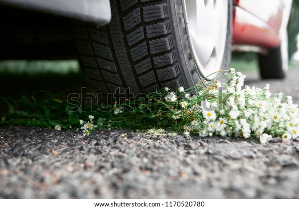 bouquet of flowers under the car wheel, concept\
of a car accident