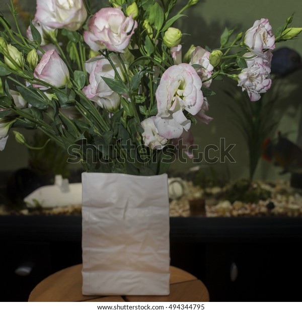 Bouquet Flowers Vase Fish Tank Background Stock Photo Edit Now