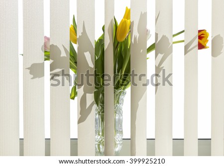 Similar – Image, Stock Photo Blinds and Sunlight