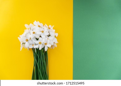 Bouquet Of Fresh Beautiful Daffodils Flowers On Yellow Wall Background At The Left Position And Green Background On The Right, Minimal Concept, Closeup, Happy Mothers Day.