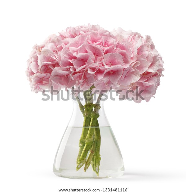 Bouquet Fresh Flowers Stylish Glass Vase Stock Photo Edit Now