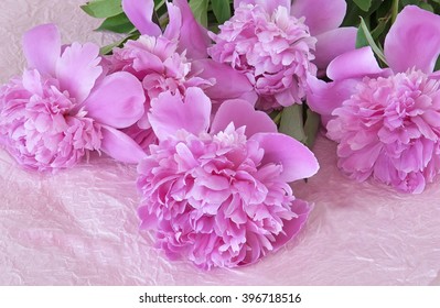 Bouquet of fresh pink  peony on abstract background