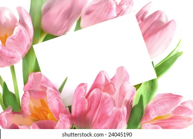 bouquet of the fresh pink tulips with a blank gift tag - Powered by Shutterstock