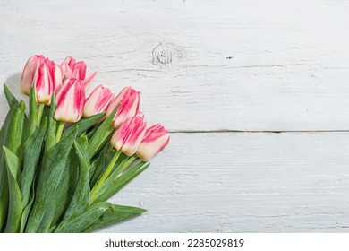 Bouquet of fresh pink tulips on white wooden background. Festive concept for Mother's Day or Valentines Day. Greeting card, Easter flat lay, hard light, dark shadow, top view - Powered by Shutterstock