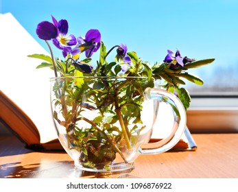 A Bouquet Of Fresh Spring Garden Flowers With Stem And Green Leaves In Transparent Glass Tea Cup On Open Window At Bright Morning Sun Rays With Book On Air Background. Viola Tricolor