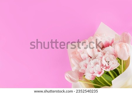 Bouquet of fresh tulip flowers on a pink background. Bouquet of pink tulips wrappen in paper. Copy space.
