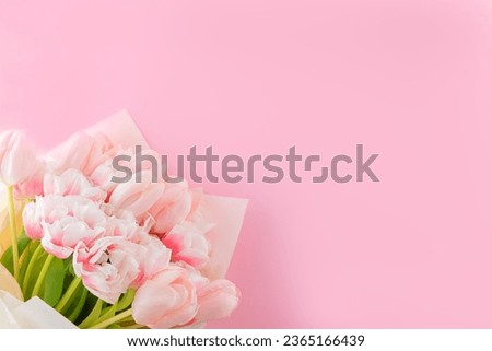 Bouquet of fresh tulip flowers on a pink. Bouquet of pink tulips wrappen in paper. Copy space.