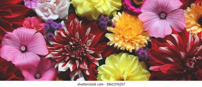 bouquet of garden flowers, top view. floral greeting card with dahlias and lavaters, natural background.