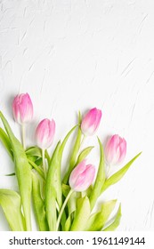 Bouquet of gentle pink tulips on white plaster background. Festive gift, greeting card for Easter, Birthday, Valentines Day or Wedding. Holiday concept, a place for text
