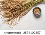 A bouquet of golden ears  rice,  wrapped in a natural jute ribbon, and a small bowl of rice set against a light background. Top view. Copy space.