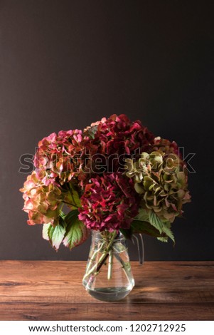 Bouquet of hydrangeas in a vase on a dark background