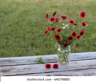 Bouquet of Indian Blankets in a Mason Jar - Powered by Shutterstock