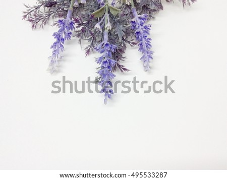 Similar – Wild flower pattern on white background