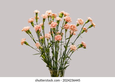 A Bouquet Of Light Orange Carnation Flowers In A Flower Vase