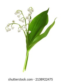 Bouquet of lily of the valley flowers and leaves isolated on white - Shutterstock ID 2138922475