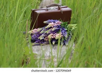 Bouquet of Lupines on old aged weathered vintage Suitcase on wood, outdoor and space, Floral composition, Rustic style, daylight - Powered by Shutterstock