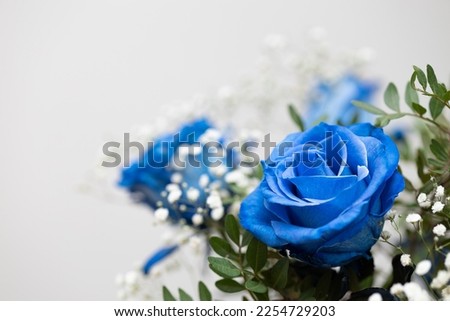 Bouquet with medium blue roses on neutral background, copy space