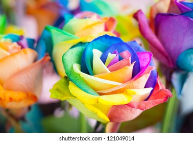 Bouquet Of Multi-colored Roses (Rainbow Rose)