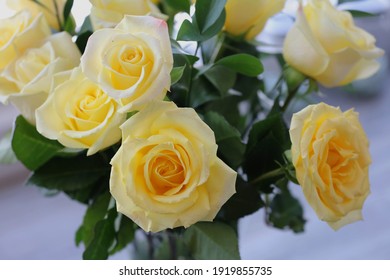 A Bouquet Of One Dozen Yellow Roses