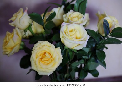 A Bouquet Of One Dozen Yellow Roses