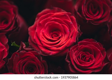 Bouquet cien rosas rojas