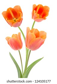 A bouquet of orange tulip flowers